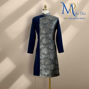 Áo Dài Cách Tân Phối giữa vài Tuyết Mưa và Gấm
